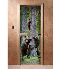 Дверь для бани А064 (стекло)