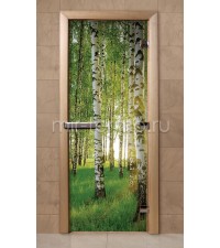 Дверь для бани f241 (стекло)